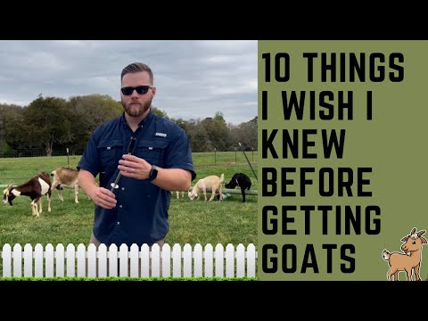 10 Things I Wish I Had Known Before Buying Goats