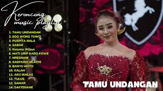 Download lagu KERONCONG MODERN 2025 - TAMU UNDANGAN 0 EGO WONG TUWO - NIKEN SALINDRY FULL ALBUM KERONCONG JAWA mp3