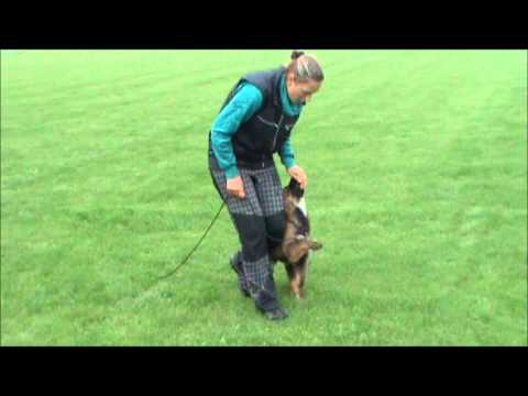 Isabella z Jukasu - obedience training - 4 months