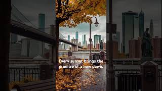 Every sunset brings the promise of a new dawn.#relax #cozynights #sunset #shorts #short