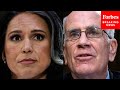 Peter Welch Hammers Trump's DNI Nominee Tulsi Gabbard For Her Views On Edward Snowden