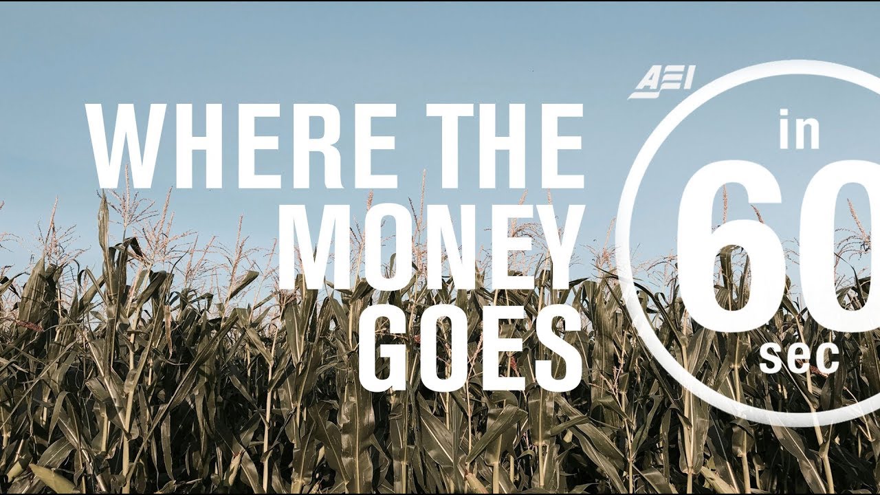 Farm subsidies: Where the money goes | IN 60 SECONDS