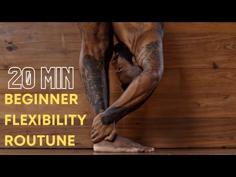 20 MIN BEGINNER FLEXIBILITY / STRETCHING ROUTINE ( No equipment, guaranteed results )