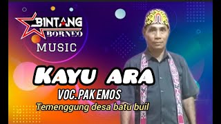 Download lagu PANTUN KAYU ARA || voc, Pak Emos || BBM audio || Balai agas 12 Juli 2024 mp3