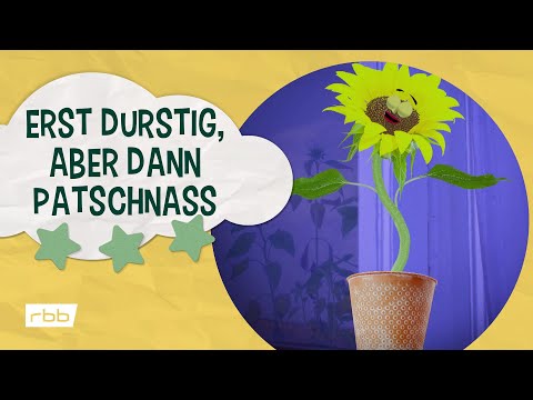 Licht an! Erst durstig aber dann patschnass | Unser Sandmännchen