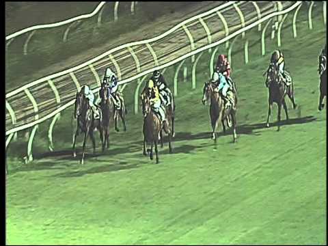 Galoppo 11/07/2015 - 4° corsa