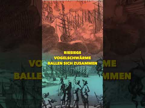 1665: Die Himmelsschlacht über der Ostsee