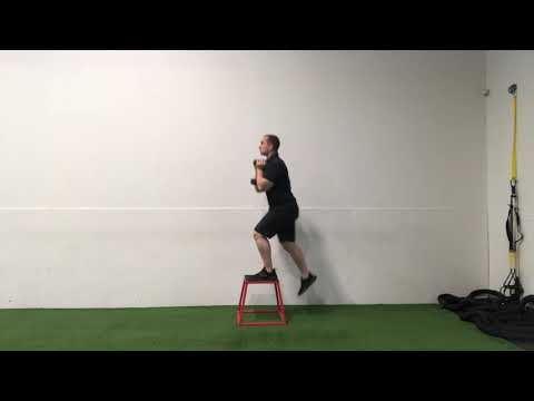 Goblet Loaded Step Up - 18 Inch Box