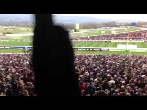 Annie Power wins the Champion Hurdle..some people backed it apparently..