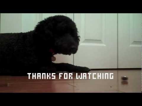 How To Spin A Coin With One Hand [HD]