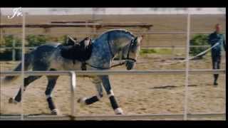 Traviesos dela Sierra ft Plebes del Rancho - Mis ultimos Momentos (Ariel Camacho)