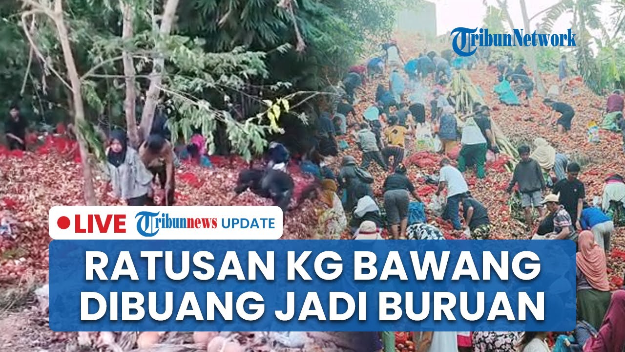 LIVE: Warga Batam Serbu Bawang Bombai dan Bawang Merah yang Dibuang di Jurang, Pembuang Misterius