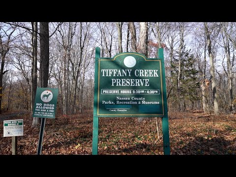 Two Irish Jigs and a Walk in the Tiffany Creek Preserve