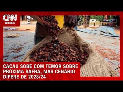 Produção global de cacau está sob alerta com El Niño | CNN AGRO NEWS