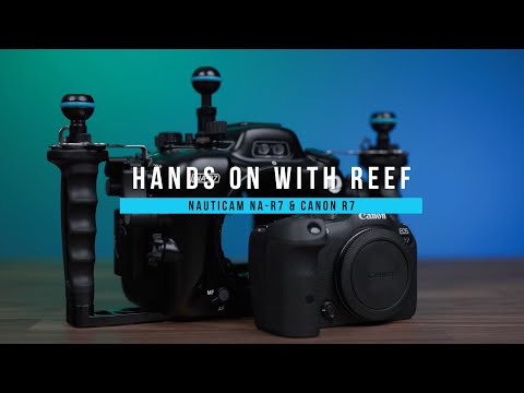 Hands on with Reef: Canon R7 & Nauticam NA-R7