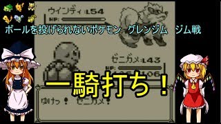 [ゆっくり実況]ボールを投げられない鬼畜縛りポケモン　その17
