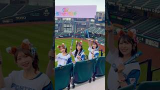 🎥超最強 ファイターズver.はもうチェックいただけましたか？☺️⚾️