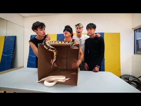 INSANE WHAT'S IN THE BOX CHALLENGE!