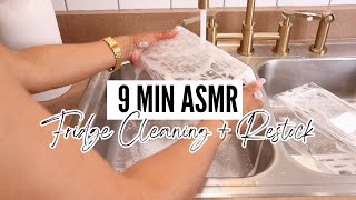 ASMR FRIDGE CLEANING AND RESTOCK