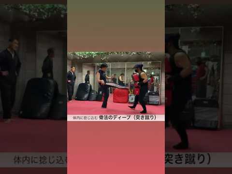 カカトを捻じ込む骨法の中段突き蹴り。ムエタイのティープに対抗してディープと名付けてみた。