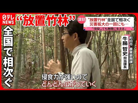 竹害 問題