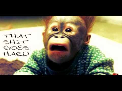 Laidback Luke feat Martel- We Are The Stars