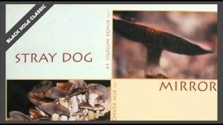 Stray Dog - Mirror