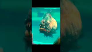Download lagu Piranha 3D π±πΈ Movies.. #underwaterworld #fishing #fishstory #fish #piranha #movies #3D #movie mp3 Download lagu Piranha 3D π±πΈ Movies.. #underwaterworld #fishing #fishstory #fish #piranha #movies #3D #movie mp3