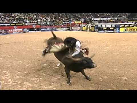 Shane bucks Jody Newberry - 06 PBR Finals