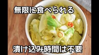 【漬け込み時間不要】春キャベツが無限に食べられる！！春キャベツの簡単浅漬けの作り方