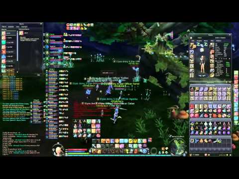 [Aion 4.5 - Steel Cavalry] - PvP (Chanter) - 2 / 2