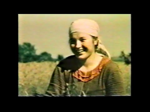 Maršrutas nr. 30 - Pramonės ir žemės ūkio parodos tarpukariu