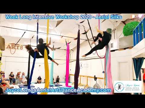Week Long Intensive Workshop 2020 - Aerial Silks