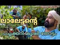 Mohanlal Organic Farm Full Video Mohanlal Vegetable Garden Barroz