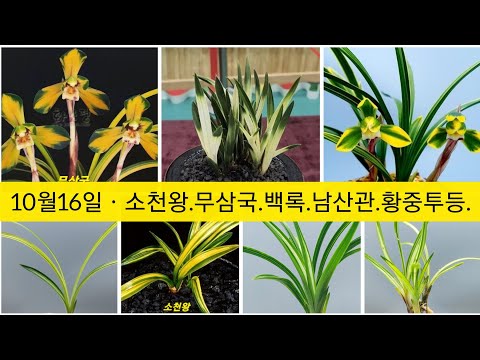 유튜브 썸네일