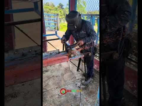 Fortaleciendo el sector ganadero de San Eduardo