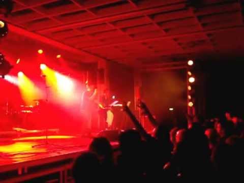 Peter Heppner (Wolfsheim) - The sparrows and the nightingales