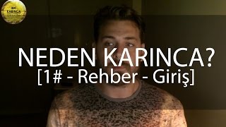 Neden Karınca besliyoruz? Karınca beslenir mi ''yav'' ? [1# - Rehber/Giriş]