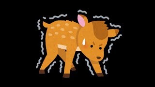 OBSデスクトップサウンドのテスト