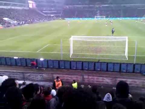 Rooie mongol uit Gestel