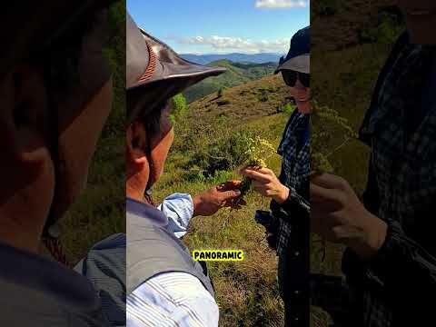 Samaipata Tours in Bolivia  #dailylife #bolivia