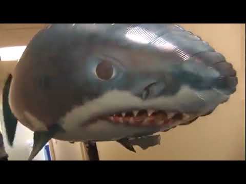 Remote Control Shark Toys Air Swimming RC Animal $24.99  + Free Shipping