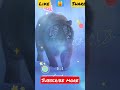 Tiger Attack Attitude Whatsapp Status Funny Cute Cat In Relaxing Mood Funny Viral Video Shorts