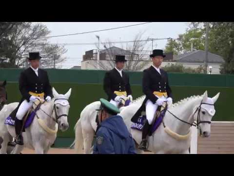 【４Ｋ、高音質、現地撮影】第１９回中山グランドジャンプ本場場入場