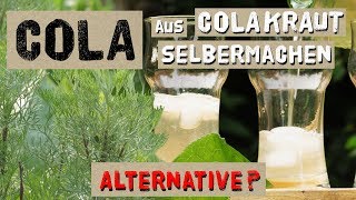 Cola aus Colakraut selber machen - Alternative zu Cola