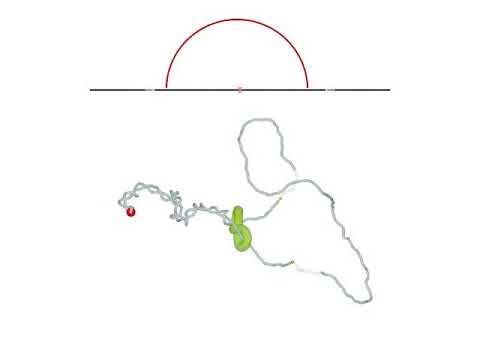Transcription-induced supercoiling as the driving force of chromatin loop extrusion