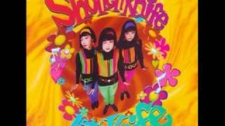 Shonen Knife-Tortoise Brand Pot Scrubbing Cleaner's Theme (Green Tortoise)