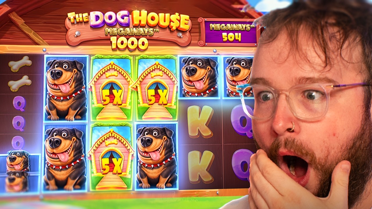 The *NEW* Dog House MEGAWAYS 1000 IS INSANE!