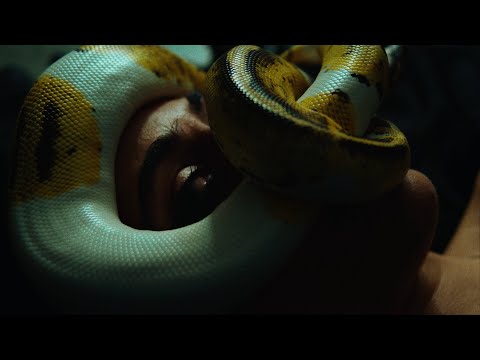 Lana Lubany - THE SNAKE (visual)
