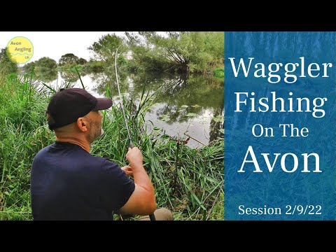 Waggler Float Fishing The River Avon & Predator Fishing (Nice Surprise) - 2/9/22 (Vid 343)